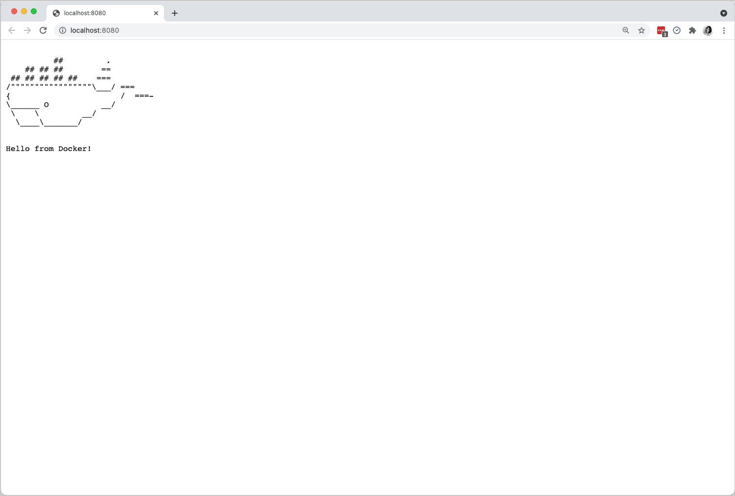 Single container Dev environment